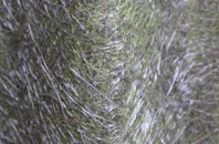 Berinsfield fibreglass roof work